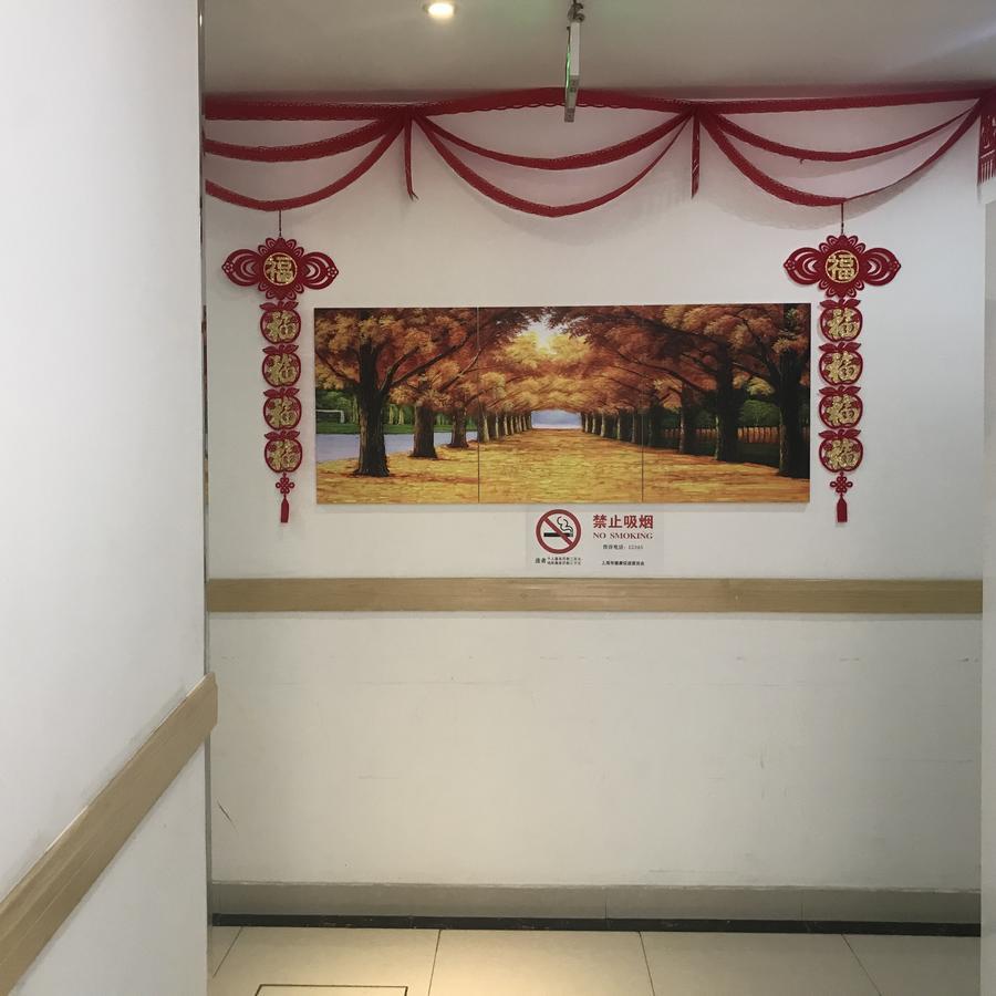 שנגחאי Huifeng Inn מראה חיצוני תמונה